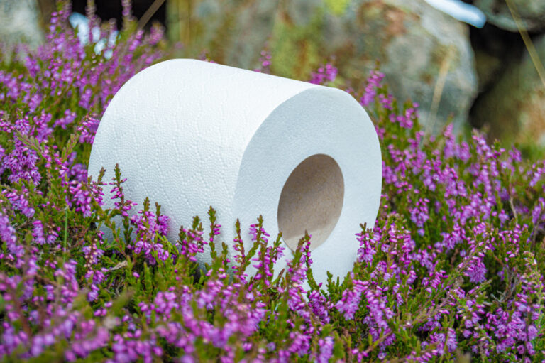 Fourstones Conventional Toilet Roll Close Up Wide