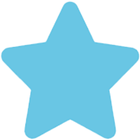 Purdi High Quality Star Icon